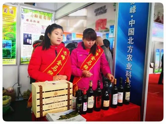 如今的赤峰金马鞍葡萄酒业,致力于打造葡萄产业种植,深加工