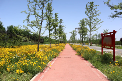 许昌市建安区陈曹乡:乡村振兴按下快进键